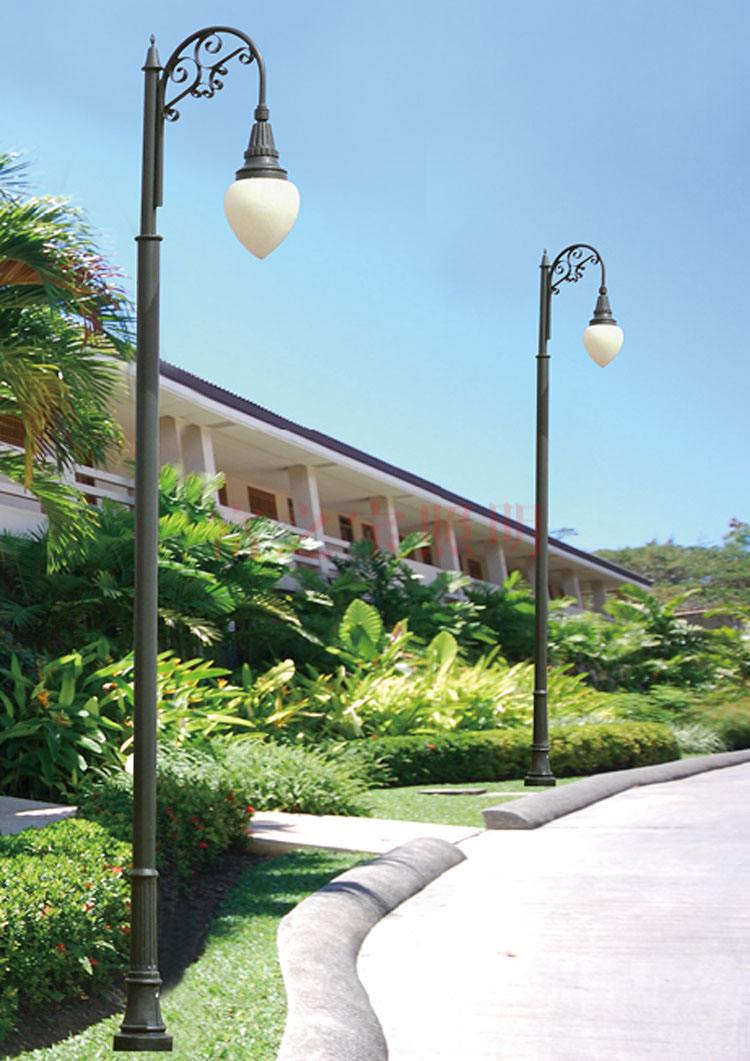 1641786304534061.jpg 1641786304534061.jpg