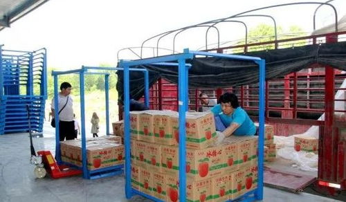 永州嘉信冷鏈倉儲物流中心正式開業(yè)，助推區(qū)域物流體系升級